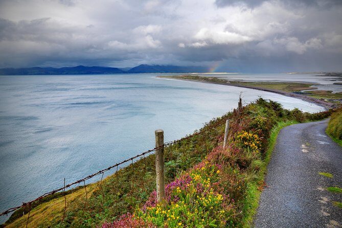 4-Day Blarney Castle, Ring of Kerry, Cliffs of Moher & Connemara - A Rail-and-Coach Route That Packs Ireland’s Best in Four Days