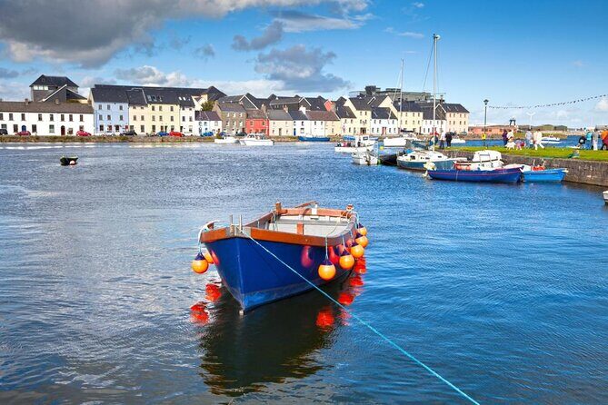 7-Day Great Atlantic Adventure Small-Group Tour of Ireland from Dublin - Day 4: Sheepdog demonstrations, the ferry crossing, and Cliffs of Moher on foot