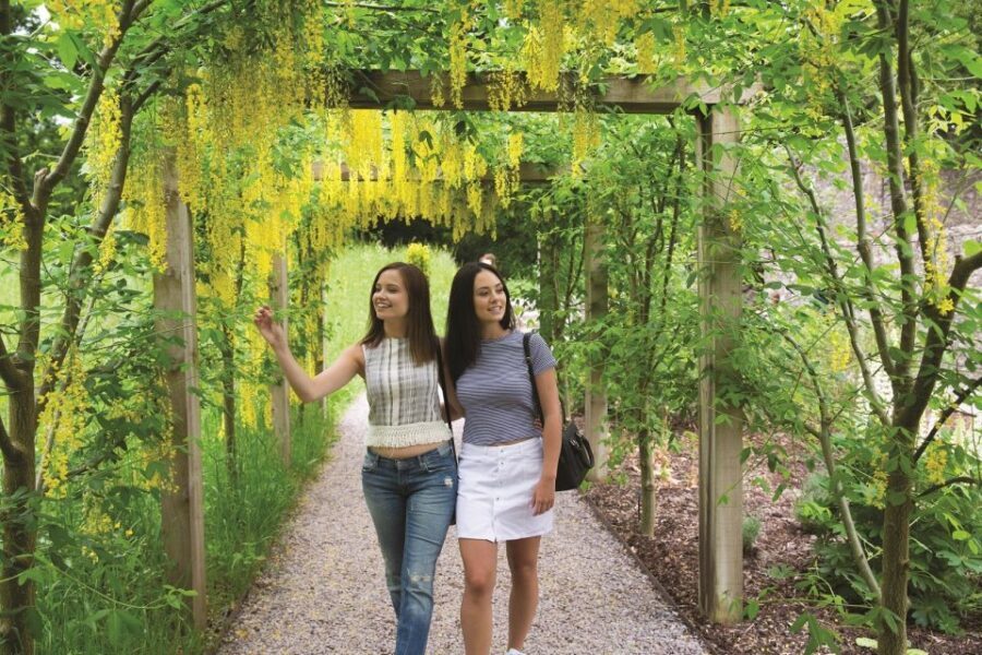 Blarney Castle Full-Day Tour from Dublin - A 13-Hour Dublin-to-Cork Day With Real Must-Sees