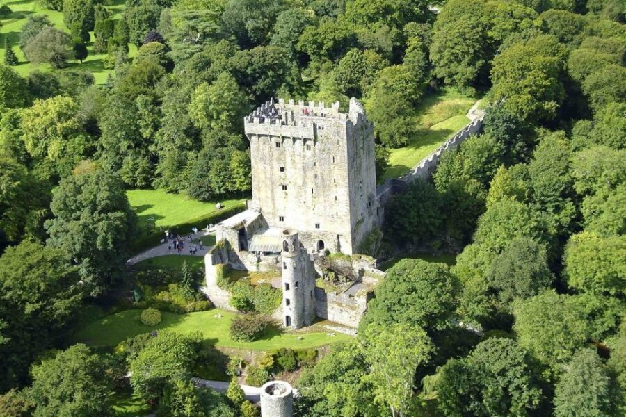 Blarney Castle Full-Day Tour from Dublin - Blarney Castle Gardens: Witch’s Cave and the Best Wandering