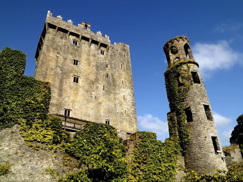 Blarney Castle Full-Day Tour from Dublin - What’s Included, What’s Not, and What to Budget