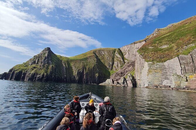 Blasket Island Sea Life Rib Tour, - Wildlife spotting around the Blasket Islands: dolphins, whales, seals, and more
