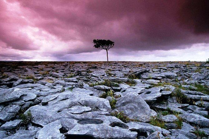 Cliffs of Moher, Aran Island & Burren tour from Galway. Guided. - A one-day itinerary that actually feels like a day
