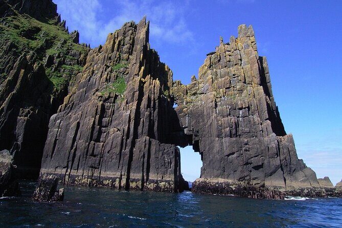 Dingle Boat Tours Wildlife RIB Adventure - Why the Blasket Islands Marine National Park Ride Beats a Standard Cruise
