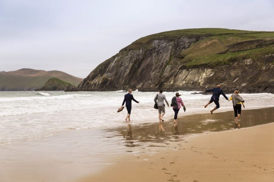 Dingle Day Tour from Limerick - Key Highlights You’ll Actually Care About