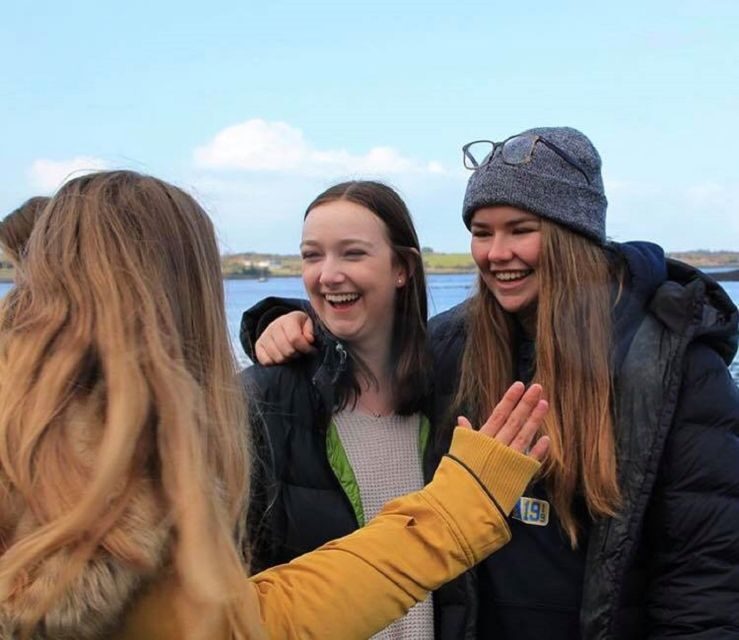 Dingle Day Tour from Limerick - Blasket Islands: Coastal Views With Human Context