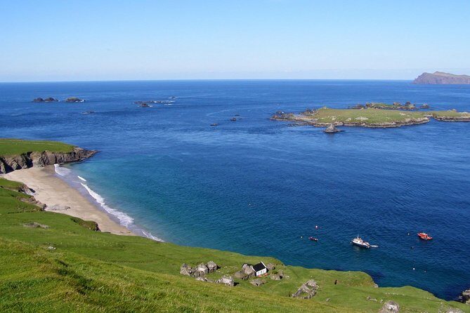 Dolphin and Whale Watching Tour from Dingle - The 1pm departure that shapes your whole afternoon