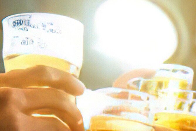 Drinks on Foot: Dublin Traditional Pub Tour - The drink philosophy: four types, four pub vibes