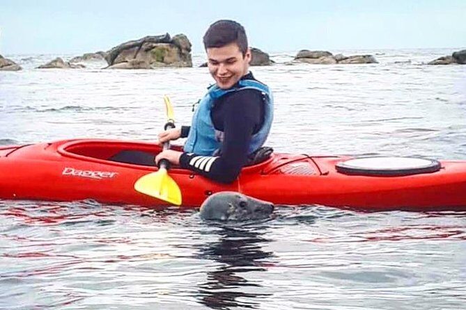 Dublin Bay Seal Kayaking Safari at Dalkey - Bullock Harbour launch: what the 3-hour flow feels like