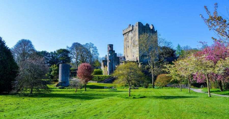 Dublin: Full-Day Tour to Cork, Cobh and Blarney Castle - Blarney Castle and the Blarney Stone: your must-see, with a real-world queue