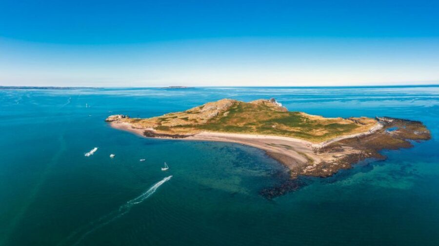 Dublin: Howth Cliffs and Lighthouse Cruise - What the 45-Minute Cruise Feels Like on the Water
