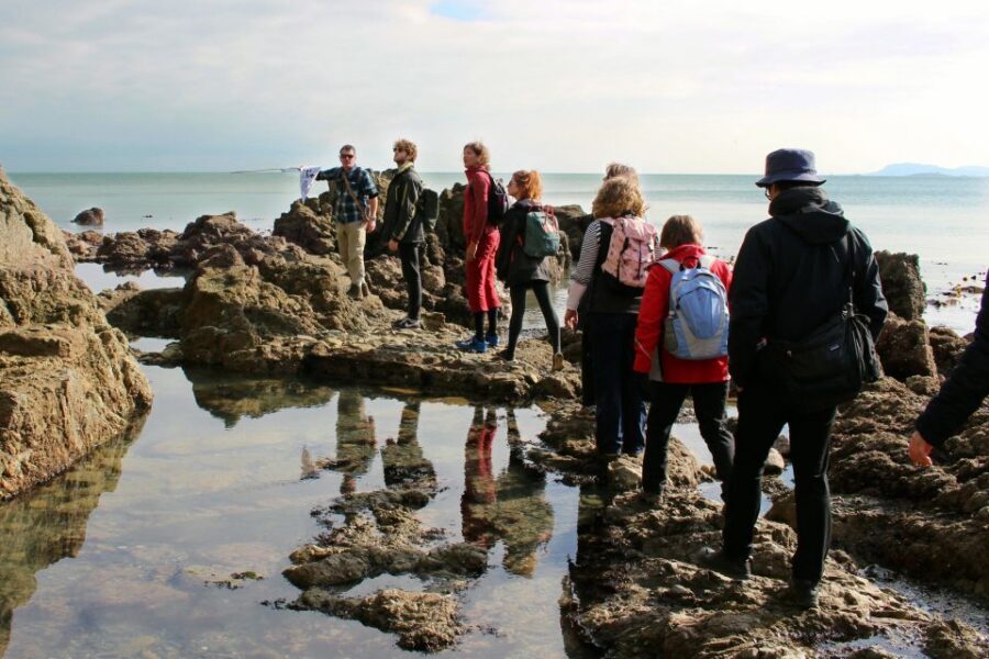 Dublin: Howth Safari Hiking Tour - Who this Howth coastal hike suits best