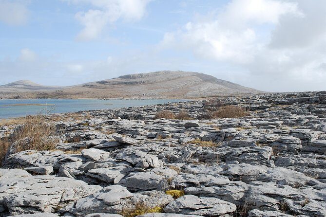 Dublin to Cliffs of Moher, Burren, Wild Atlantic Way, Galway Tour - Burren National Park: Karst Rocks, Old Monuments, and Plant Variety