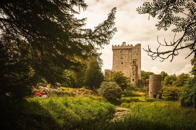 Dublin to South West 5 Day Small-Group Tour with Accommodation - Day 5: Blarney Castle, Kinsale Harbor Lunch, and Rock of Cashel to Close Out