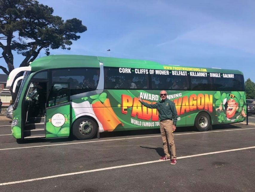 From Cork: Full-Day Guided Tour to Dingle Peninsula - Why This Dingle Peninsula Day Trip Works From Cork