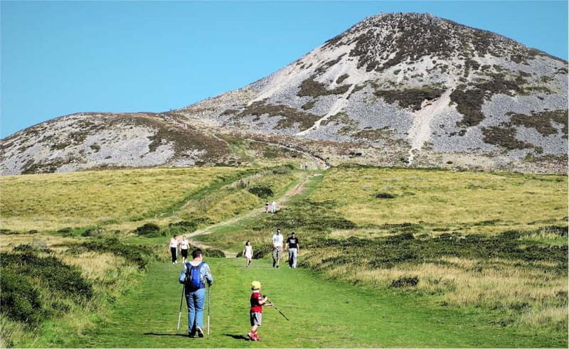 From Dublin: Wicklow, Powerscourt, and Glendalough Day Tour - Cost and Value: Is $74 Fair for Powerscourt and Glendalough?