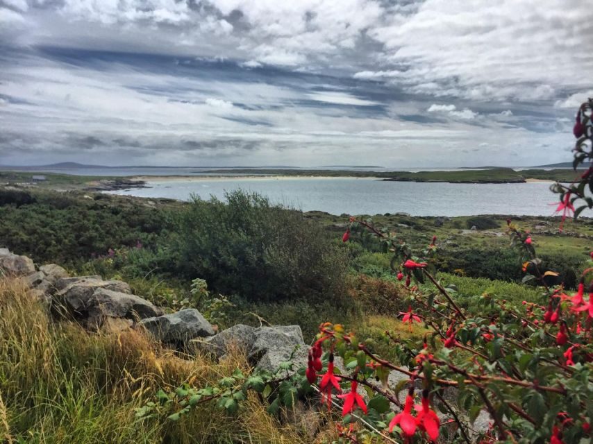 From Galway: Connemara and Kylemore Abbey Day Tour - Getting on the bus: Galway pick-up and how the day is paced