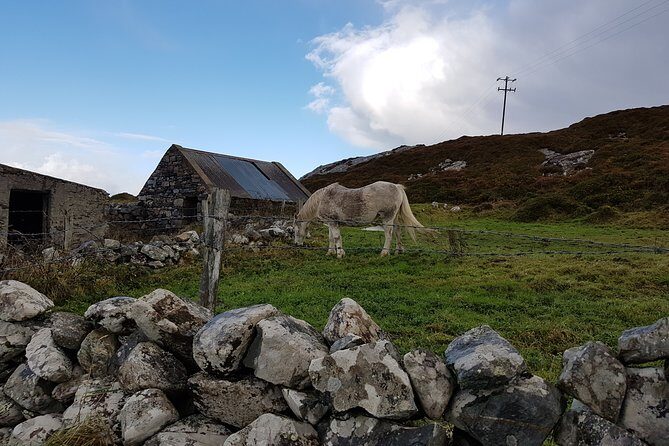 From Galway: Guided tour of Connemara with 3 hour stop in Kylemore Abbey - Two choices for 3 hours: Connemara National Park or Kylemore Abbey