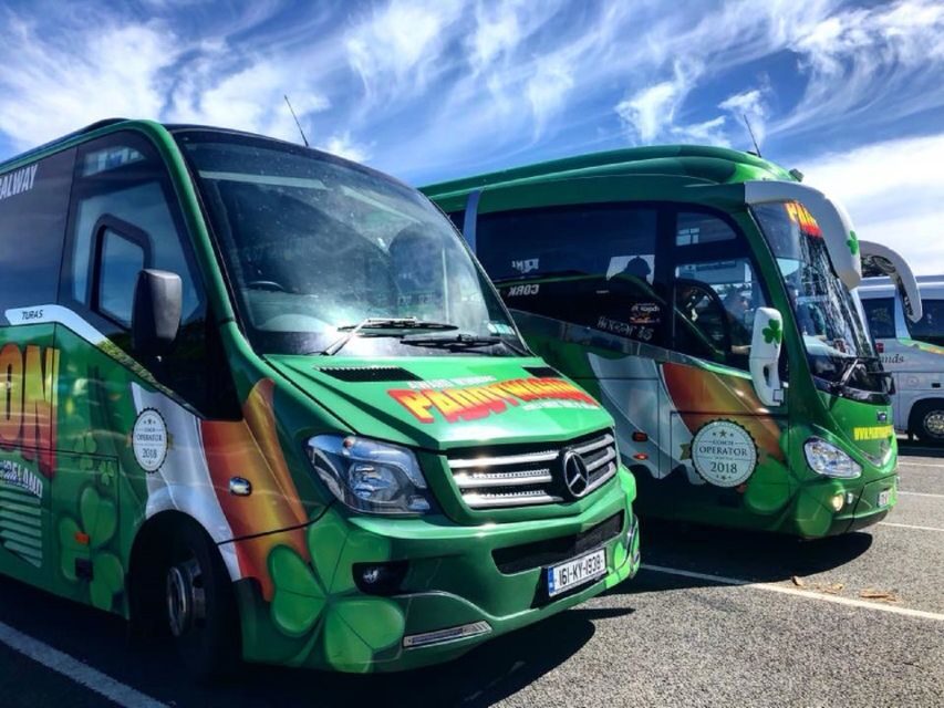 From Killarney: Day Trip to Dingle - Should you book the Killarney to Dingle day trip?