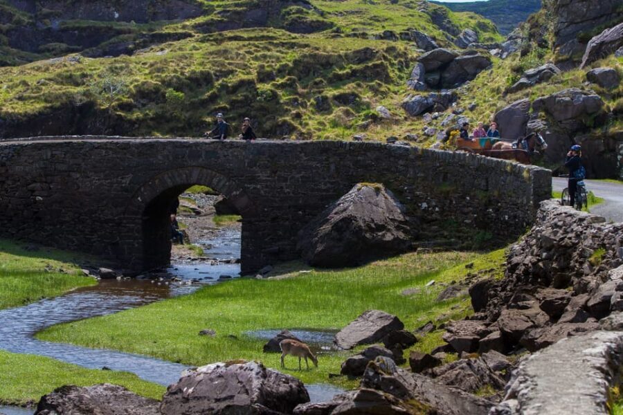 Gap of Dunloe & Lakes of Killlarney Boat Tour - Ross Castle: wrap-up time and your options after the coach
