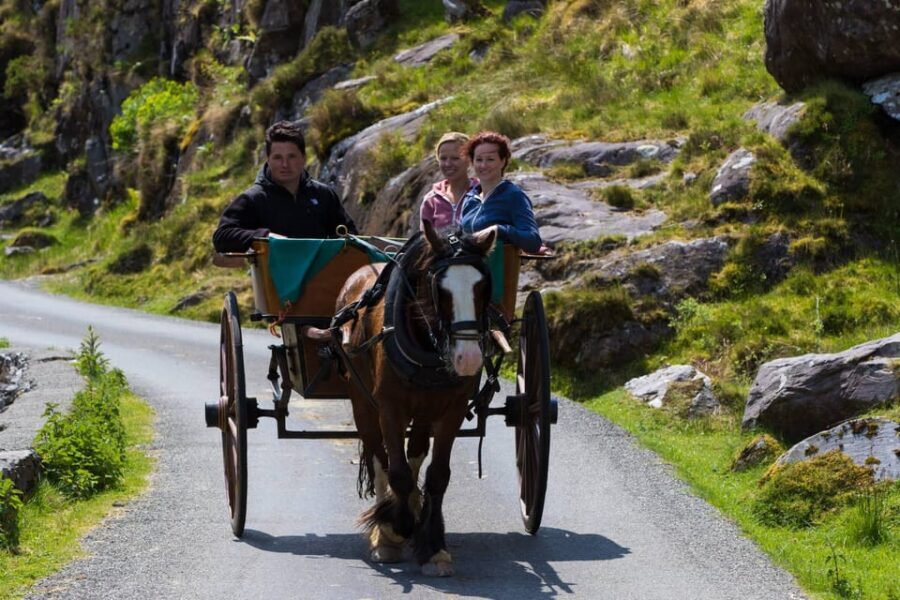 Gap of Dunloe & Lakes of Killlarney Boat Tour - Pace, comfort, and what to bring so the day stays fun
