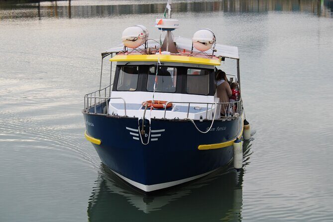 Howth Cliffs and Ireland's Eye Ferry Boat Tour - Stop at Baily Lighthouse: history first, then the coast opens up