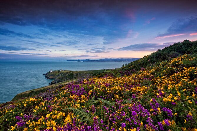 Howth Coastal Half-Day Bus Tour from Dublin with Live Guide - Getting There From Dublin: Meet at O’Connell Street and Keep It Simple