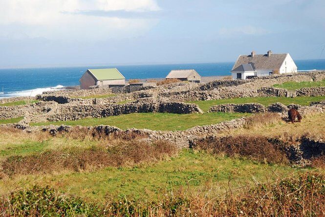 Inis Mór (Aran Islands) Day Trip: Return Ferry from Rossaveel, Galway - Key highlights worth knowing before you go