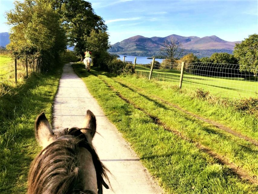 Kerry: Guided Horse Riding Tour in Killarney National Park - From Killarney stables to your first mounted moment