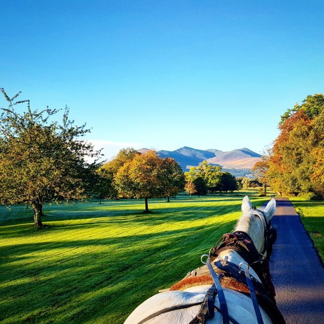 Killarney: 1-Hour Jaunting Car Horse and Carriage Tour - The Jarvey Experience: Funny, Fast History From the Car Seat