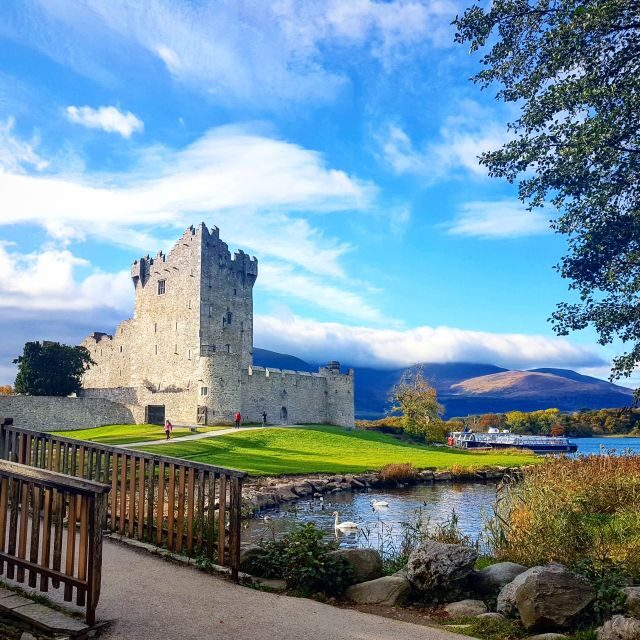 Killarney: 1-Hour Jaunting Car Horse and Carriage Tour - MacGillycuddy Reeks Views: The Big Mountain Moment (Without the Hike)