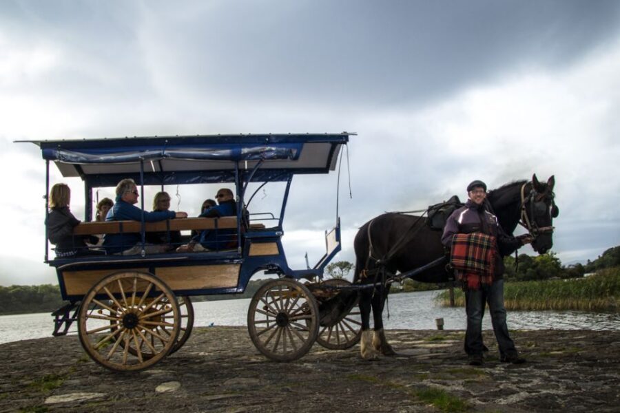 Killarney: 1-Hour Jaunting Car Horse and Carriage Tour - Where the Ride Starts: East Avenue Road by Great Southern Hotel