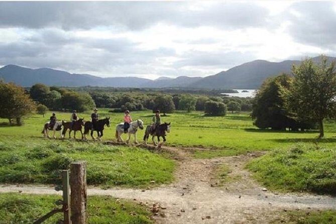 Killarney National Park Horseback Ride. Co Kerry. Guided. 1 hour. - The horse matching system: how they handle beginners and experienced riders