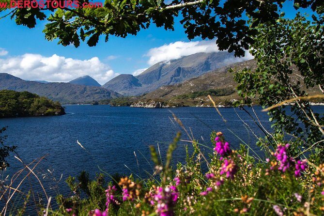 NO 1 Ring of Kerry Tour inc Killarney Lakes & National Park - Moll’s Gap and Ladies View: the classic viewpoints that still deliver