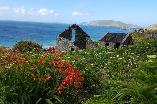 Private Dingle Peninsula Full-Day Tour - Conor Pass first: big Atlantic views with zero fuss