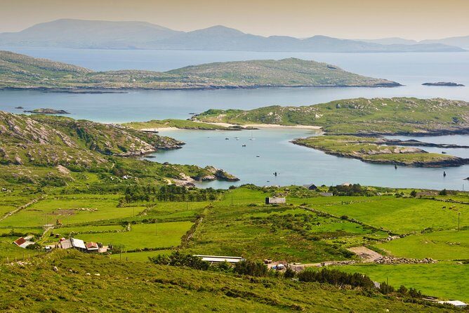 Private Tour:Ring of Kerry,Kerry Cliffs from Kenmare, Sneem etc. - Torc Waterfall: mossy trees and druid-lore vibes