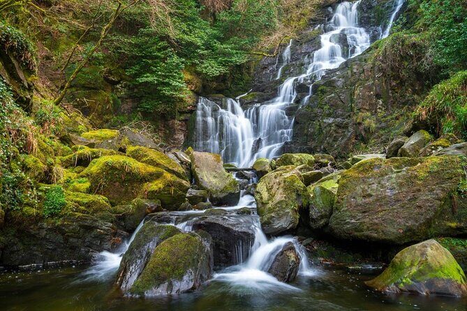 Self-Guided Bike Tour of Killarney National Park, Muckross Gardens & Waterfall - Meeting point, pace, and the small-group feel